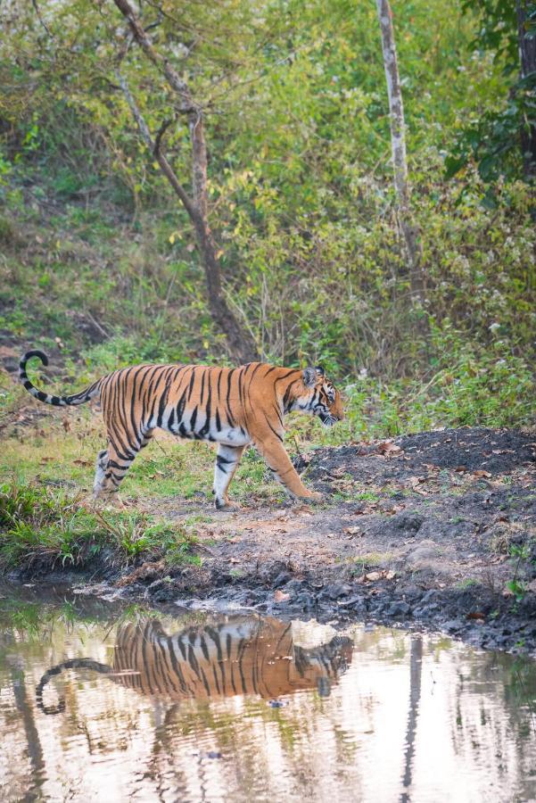 Kaav Safari Lodge, Kabini Begūr Esterno foto