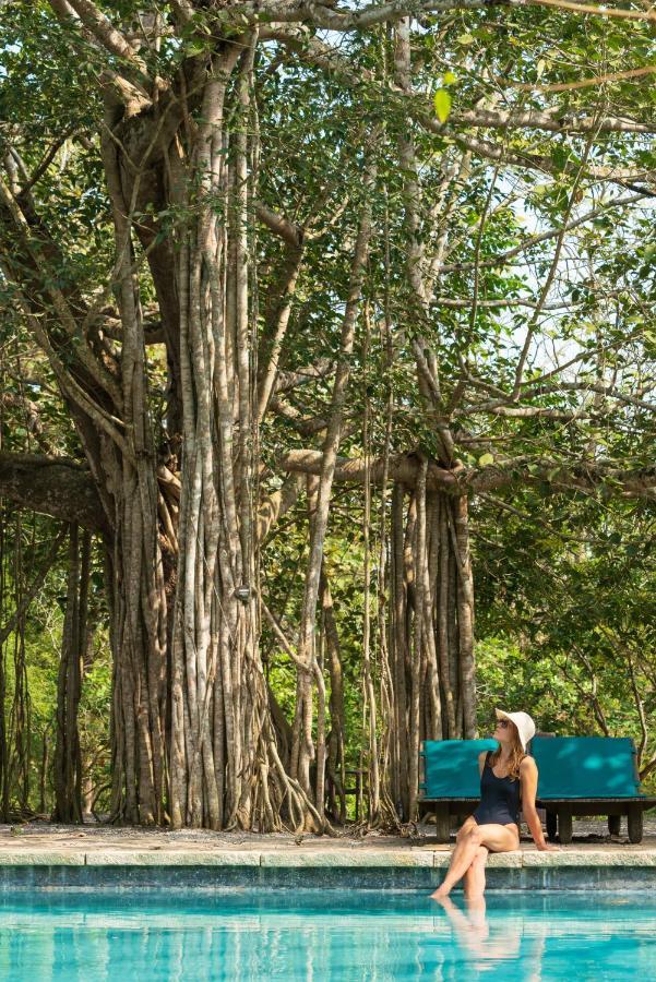 Kaav Safari Lodge, Kabini Begūr Esterno foto