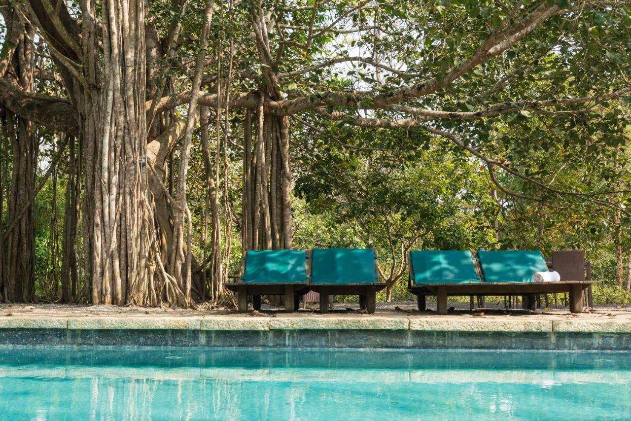 Kaav Safari Lodge, Kabini Begūr Esterno foto